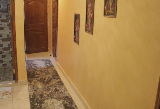 Hallway with runner carpet